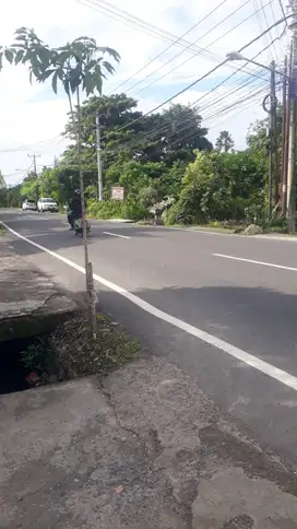 Di kontrakan tanah  jalan Sedap Malam, DPS, Bali