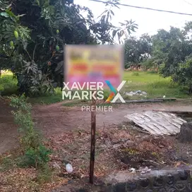 Dijual Tanah Poros Jalan Kesambirampak, Kapongan, Situbondo