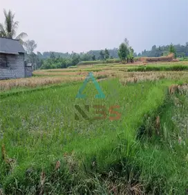 DIJUAL TANAH LOKASI DI PINGGIR JALAN UTAMA GIANYAR