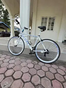 Sepeda santai fixie