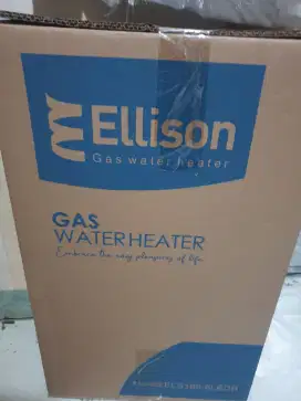 Water heater gas ellison