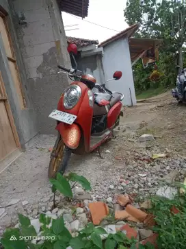 Honda Scoopy warna merah