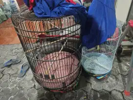 Sangkar burung besar murai dan lovebird