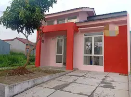 Rumah Murah Dekat Kampus IPB Dramaga Dalam Cluster