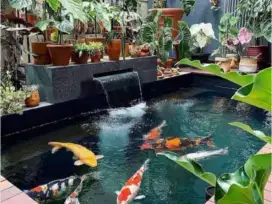 Kolam ikan dan filtet