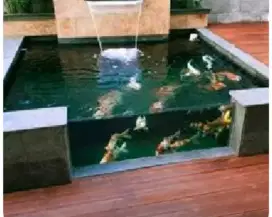 Kolam ikan dan filter