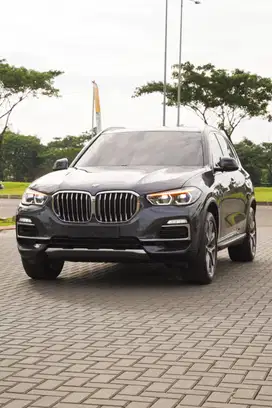 New BMW X5 G05 xDrive40i xLine 2019