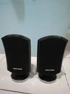 Speaker polytron