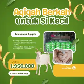 kambing aqiqah hemat