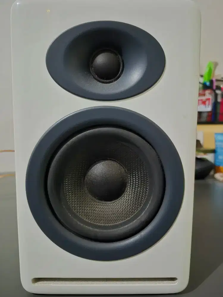 Audioengine P4 Pasif Speaker
