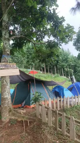 Tenda kapasitas 5 orang