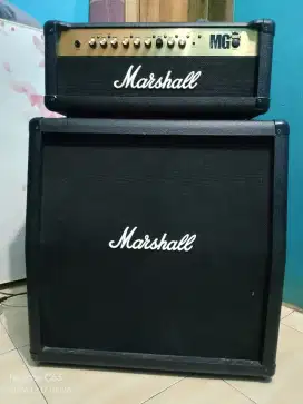 Marshall mg100fx