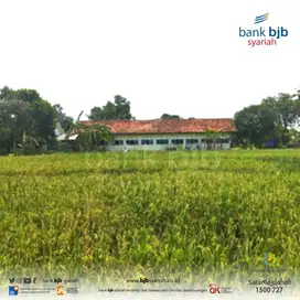 RUMAH ASETKU – PEKANDANGAN (Tanah Kosong) KABUPATEN CIREBON