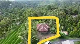 Jual Cepat Tanah 725sqm Ukuran Bagus di Buleleng, Bali