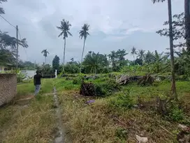 6 kavlingan tanah sekaligus bisa jual kembali