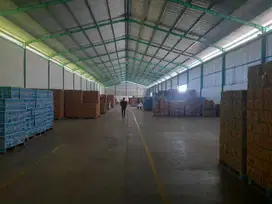 Gudang Area Industri Untuk Produksi Siap Pakai Di Tegal, Jawa Tengah