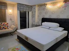 Disewakan Apartemen Cantik Tanglin