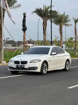 BMW 520i Ckd At 2016