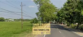 Tanah Baguss LD 124 mtr, Madiun-NGAWI Jalan Raya Propinsi