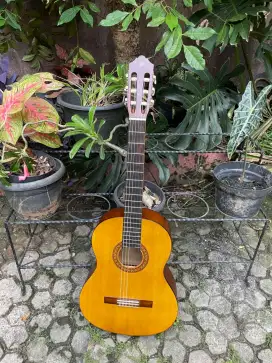 GITAR YAMAHA C315