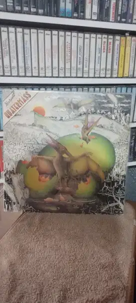 Piringan hitam/Vynil