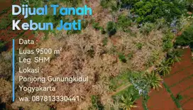 Dijual tanah murah Gunungkidul