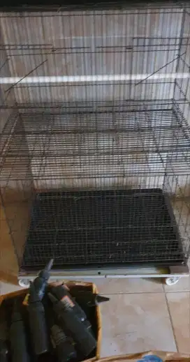 KANDANG BURUNG/SUGAR GLIDER