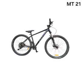 Sepeda MTB ELEMENT Camp Fenix 3.0