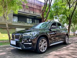 BMW X1 F48  sDrive18i xLine 2017