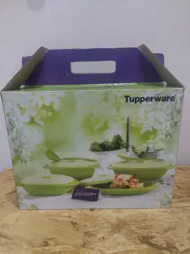 Tupperware Edisi Blossom