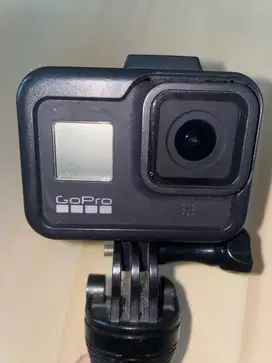 Gopro Hero 8 Black (Only Unit)