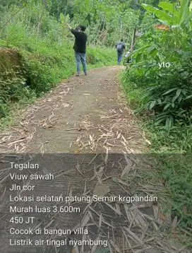 Jual tanah lokasi karangpandan luas 3600mtr harga 450jt nego