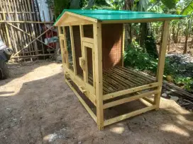 Kandang Ayam 2 Pintu