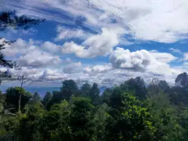Tanah bagus sudah tertata rapih ada kebun bongsai view lepas gunung