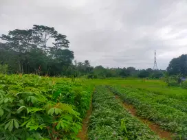 Tanah rata sangat strategis view lepas ke gunung ada kali sungai