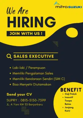 Sales Executive