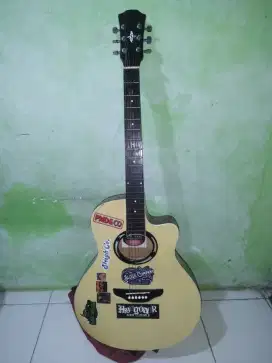 Gitar YAMAHA APX 500II