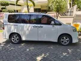 NAV1 2013 AT/69 rb km/tgn1/100% ors cat