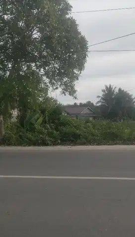 DIJUAL TANAH KAVLING 350 M2 TERITIP JL. MULAWARMAN BALIKPAPAN - KALTIM