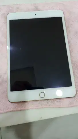 IPad mini 4 Wifi + Sim Card