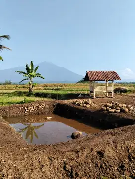 TANAH KOLAM MURAH TAMBAK SOGRA PURWOKERTO