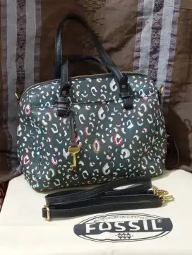 Fossil Limited Edition