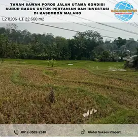 Tanah Sawah Di Poros Jalan Kondisi Subur Utk Tani Dan Inves Di Malang