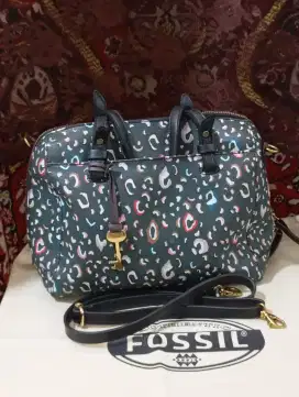 Fossil Authentic