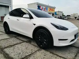 Tesla Model Y perfomance long range
