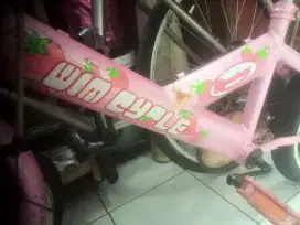 Sepeda anak wimcycle