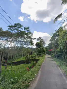 Tanah Di Pupuan Tegallalang Bali Dekat Tangkup Waterfall