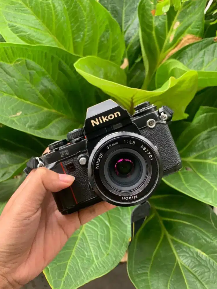 Kamera Nikon bekas kualitas dan lensa nikon