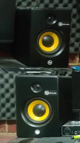 Speaker monitor recording Flat UM audio 5inch