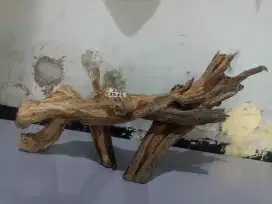 Kayu Fosil Aquarium